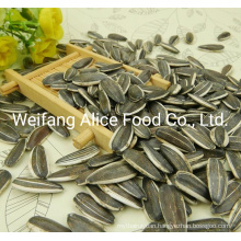 Good Price Large Quantity Supply Chinese Sunflower Seeds